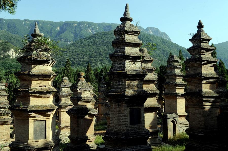 CHINA-HENAN-SHAOLIN TEMPLE-PAGODA FOREST OVERHAUL (CN)