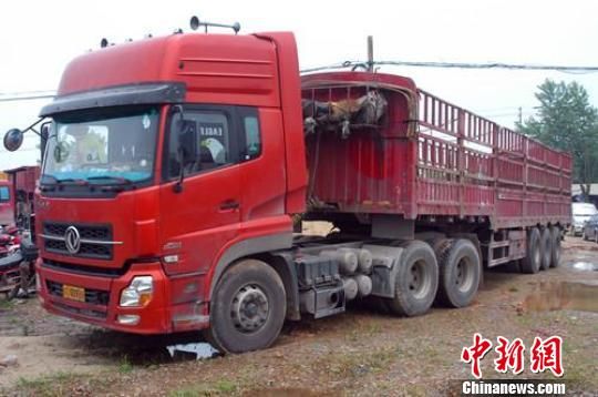 A red semi-trailer truck has been faulted in an accident that killed a bus driver in Jiangsu Province on May 29, local authorities said Monday.