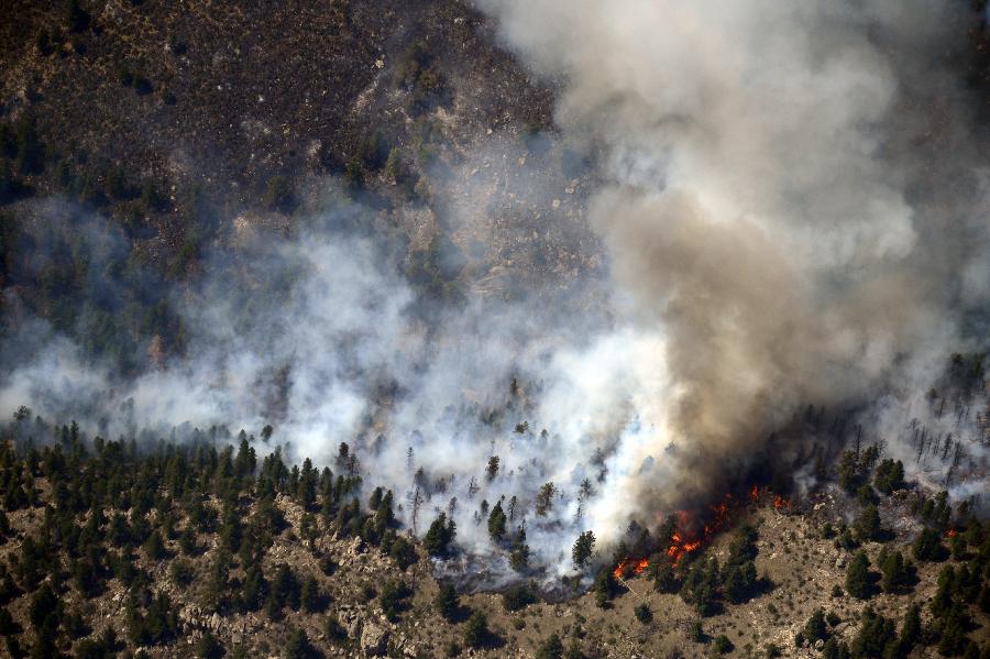 Fire burns through trees on the High Park wildfire near Fort Collins, Colo. , June 11, 2012.