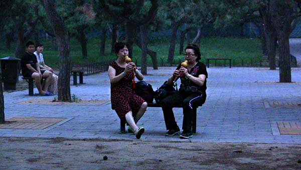 Mystical sounds of the cucurbit flute at twilight in the Temple of Heaven Park.