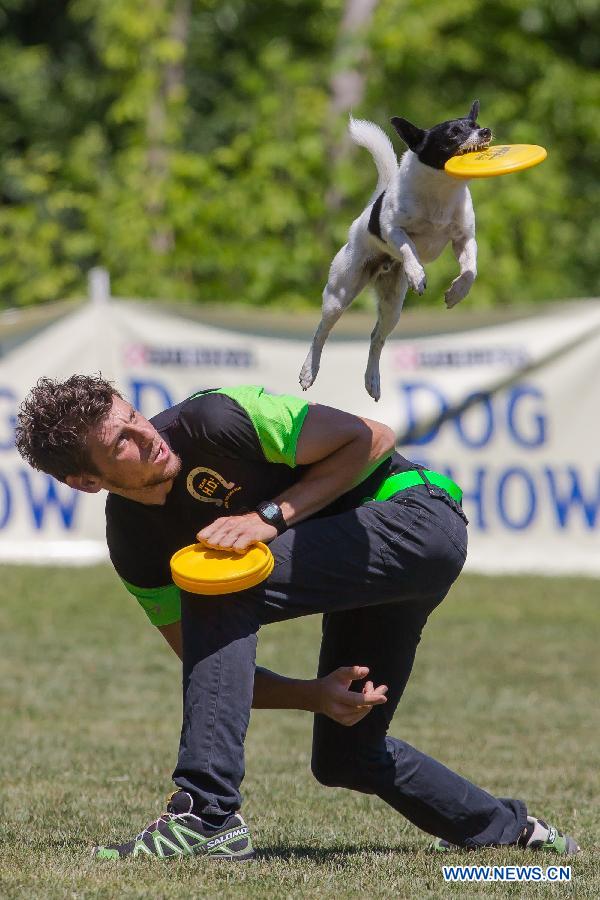 HUNGARY-BUDAPEST-DOG-FRISBEE-EUROPEAN CHAMPIONSHIPS