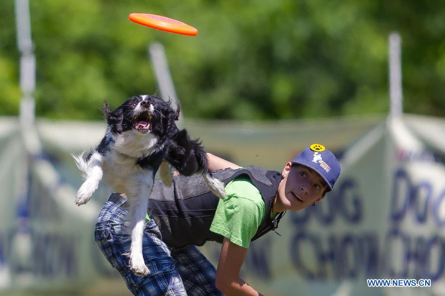 HUNGARY-BUDAPEST-DOG-FRISBEE-EUROPEAN CHAMPIONSHIPS