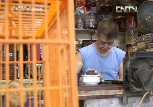 70-year-old Mr. Chen has been making bird cages for 50 years.