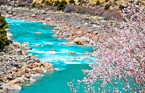 A view of the beautiful scenery of Nyang River, Nyingchi Prefecture, Tibet in this April 14, 2012 file photo. [Xinhua]