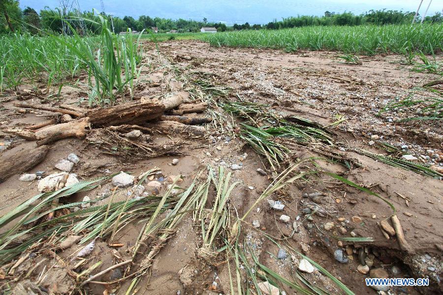 Photo taken on June 24, 2012 shows damaged farmlands in Fanmeng Village of Yingjiang County, southwest China's Yunnan Province