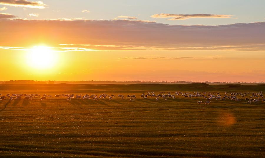 CHINA-INNER MONGOLIA-HULUN BUIR-NATURAL SCENERY-TOURISM (CN)