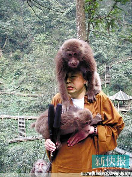 Yancan first rose to online prominence last week, when a video of him being harassed by monkeys near E'Mei Mountain, a sacred Buddhist site, was uploaded to the Internet.[ Photo / Weibo.com]