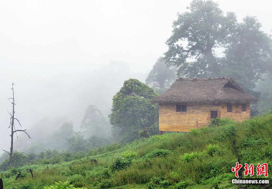 The Heizhugou Nature Reserve, which literally means 'death valley' in the local ethnic Yi dialect, is uninhabited because of its adverse natural conditions. This place is known as 'China's Bermuda Triangle,' as several people were reported missing here in the 1960s and 1970s. The absence of human beings, however, makes the place an ideal habitat for wild animals. 