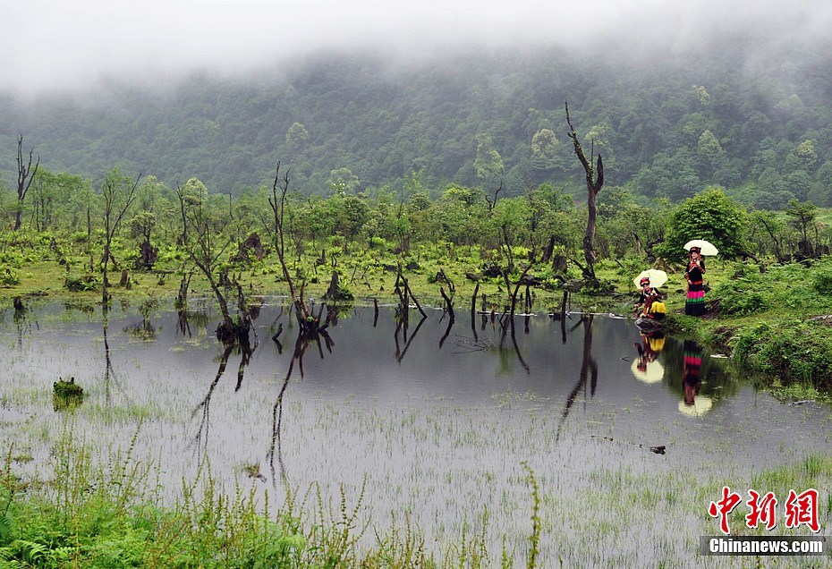 The Heizhugou Nature Reserve, which literally means 'death valley' in the local ethnic Yi dialect, is uninhabited because of its adverse natural conditions. This place is known as 'China's Bermuda Triangle,' as several people were reported missing here in the 1960s and 1970s. The absence of human beings, however, makes the place an ideal habitat for wild animals. 