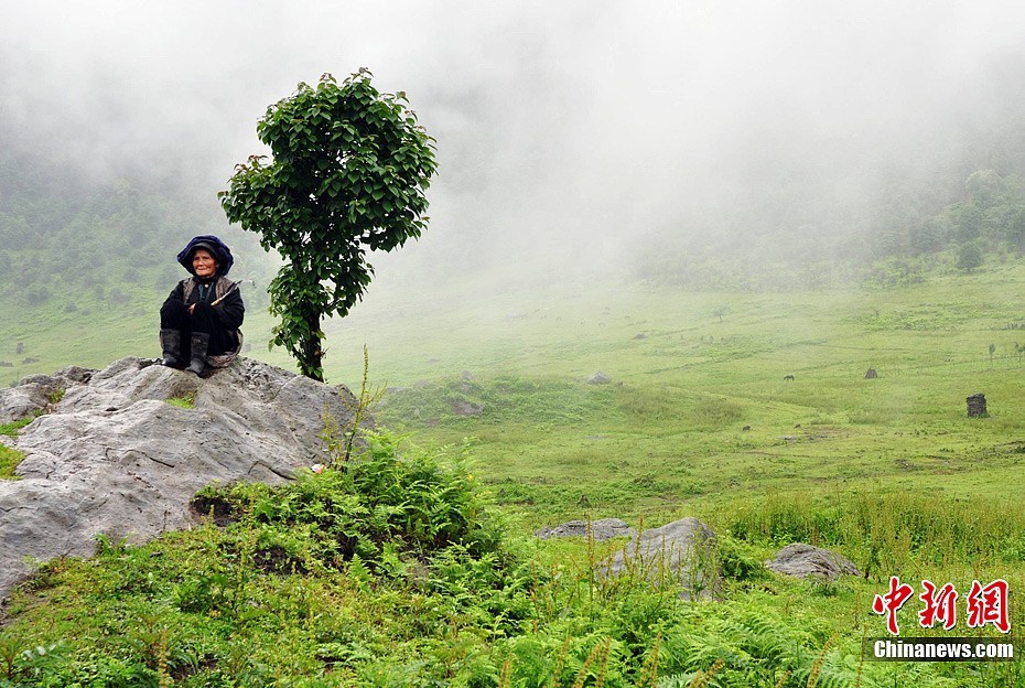 The Heizhugou Nature Reserve, which literally means 'death valley' in the local ethnic Yi dialect, is uninhabited because of its adverse natural conditions. This place is known as 'China's Bermuda Triangle,' as several people were reported missing here in the 1960s and 1970s. The absence of human beings, however, makes the place an ideal habitat for wild animals. 