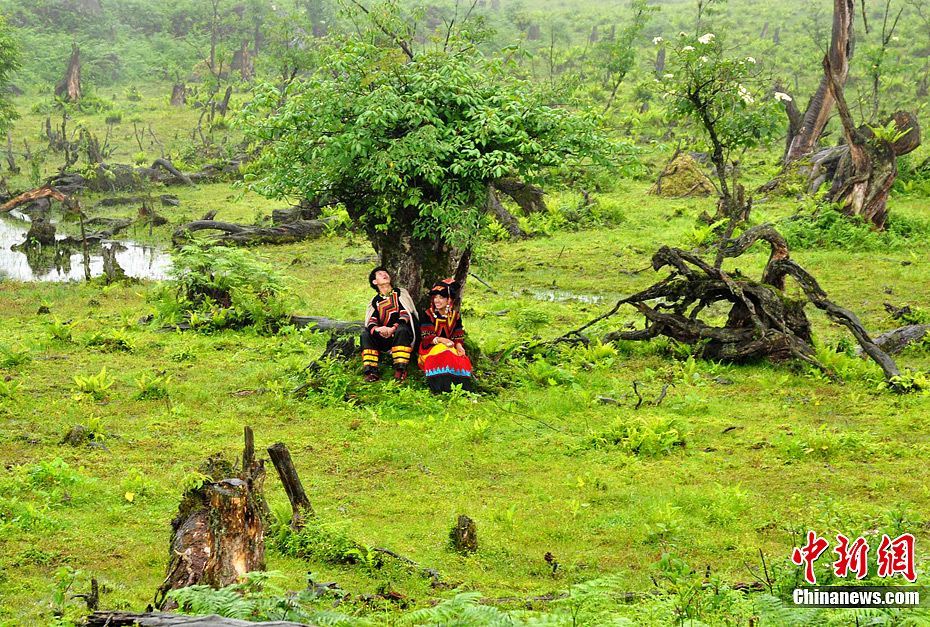 The Heizhugou Nature Reserve, which literally means 'death valley' in the local ethnic Yi dialect, is uninhabited because of its adverse natural conditions. This place is known as 'China's Bermuda Triangle,' as several people were reported missing here in the 1960s and 1970s. The absence of human beings, however, makes the place an ideal habitat for wild animals. 