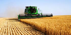 Top 40 Chinese universities in agriculture 2012