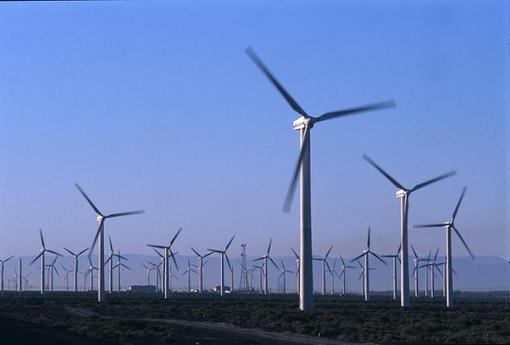 Wind power industry is facing a few problems to develop in China's Xinjiang region. [File photo]