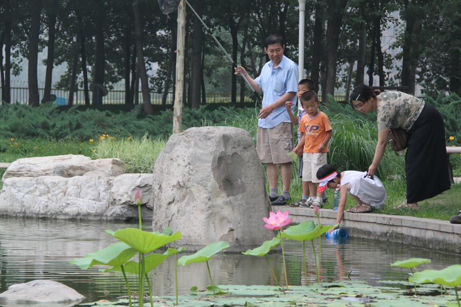 Mystic lotus flowers grow in Beixiaohe Park, Chaoyang District, Beijing. [China.org.cn/by Li Xiaohua]