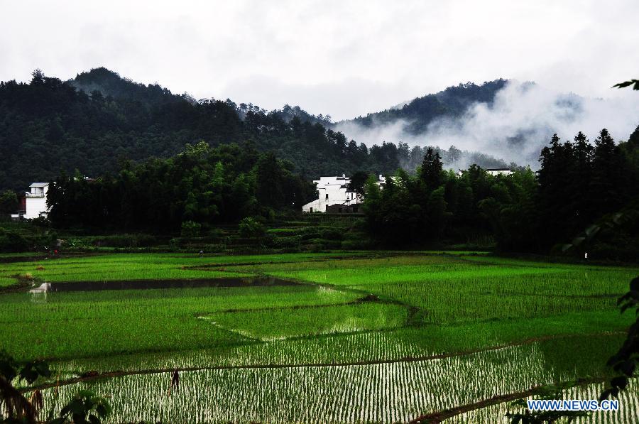 Photo taken on June 27, 2012 shows the fog-surrounded Wuyuan County in east China's Jiangxi Province