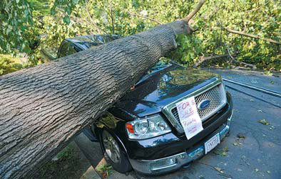 A pickup truck lies under a fallen tree in front of a house after a severe storm in Falls Church, Virginia, on Saturday. [Agencies]