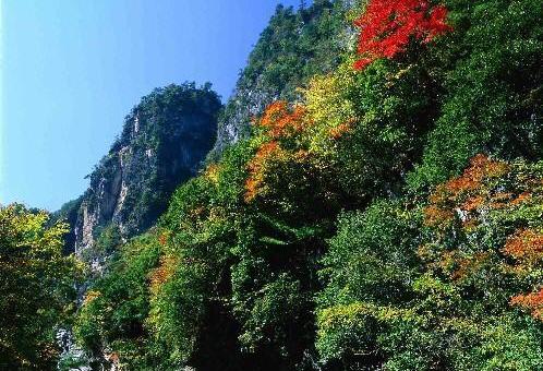 Shennongjia region in China's Hubei province. [File photo]