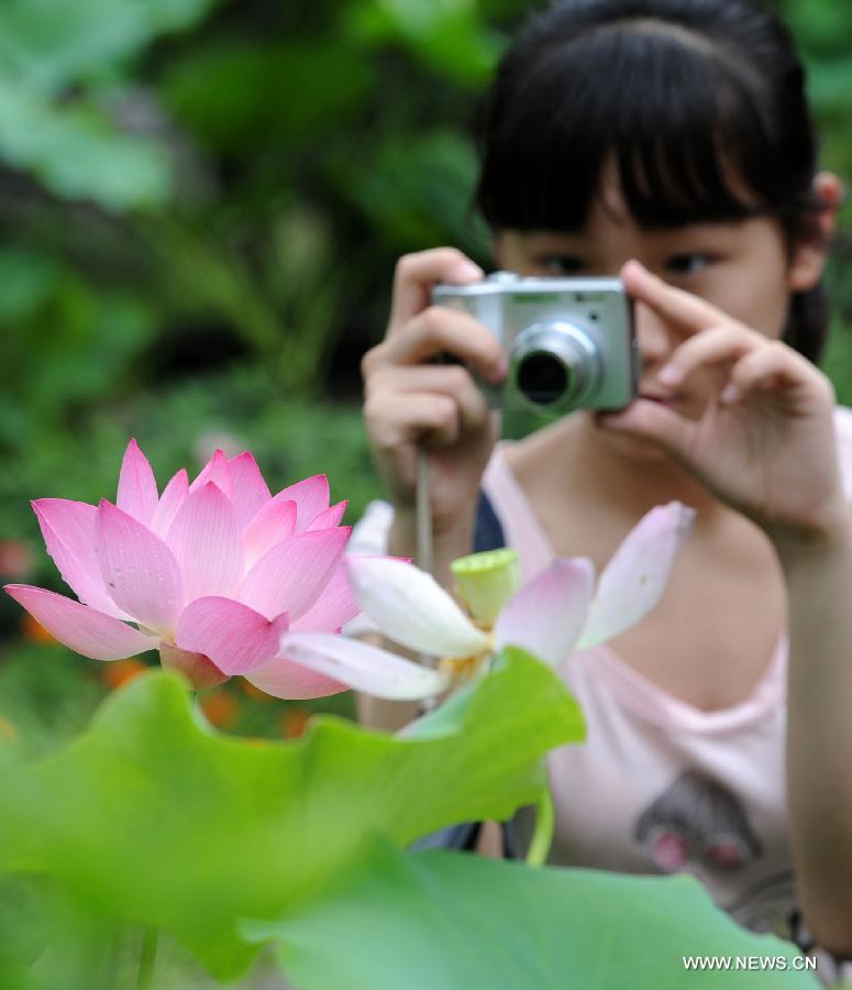 A visitor takes photos of a lotus flower at the 2012 Humble Administrator's Graden Lotus Festival in Suzhou, east China's Jiangsu Province, June 28, 2012.