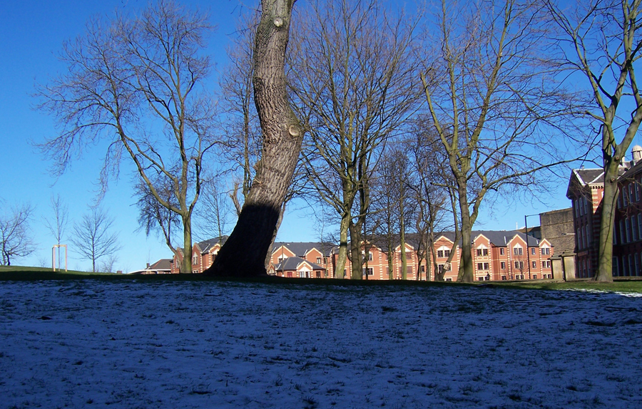 The University of Sheffield is a research university based in the city of Sheffield in South Yorkshire, England. It is one of the original 'red brick' universities and is a member of the Russell Group of leading research intensive universities. [China.org.cn/ by Chen Chao]