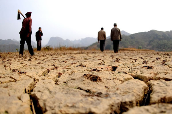 The Democratic People's Republic of Korea (DPRK) is experiencing what experts believe is the nation's most severe drought in living memory. [File photo]  