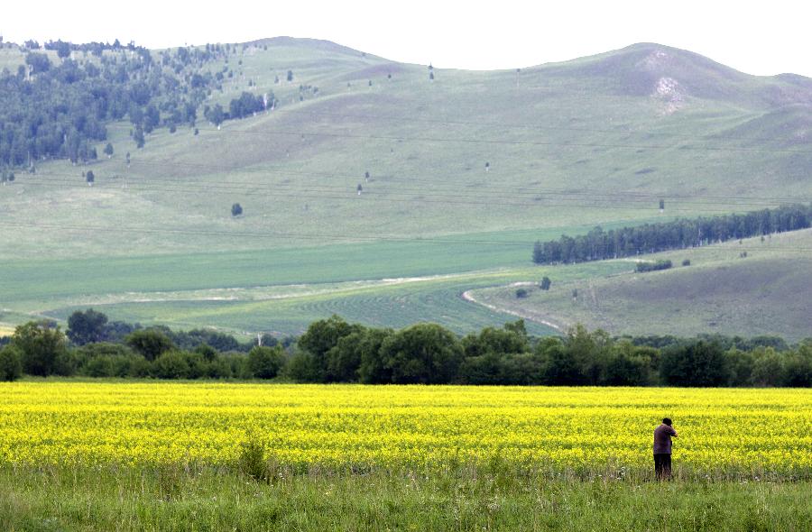 CHINA-HULUN BUIR-SCENERY (CN)