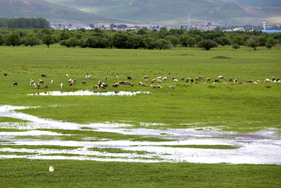 CHINA-HULUN BUIR-SCENERY (CN)