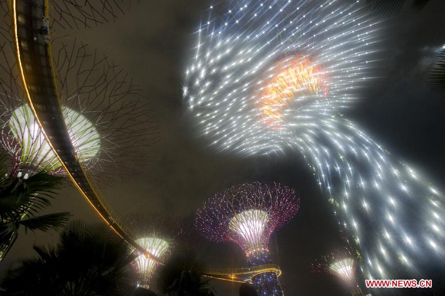 Singapore's Gardens by the Bay South for the first time presents the light and sound show at its Supertrees Grove in Singapore, on July 2, 2012. (Xinhua/Then Chih Wey) 