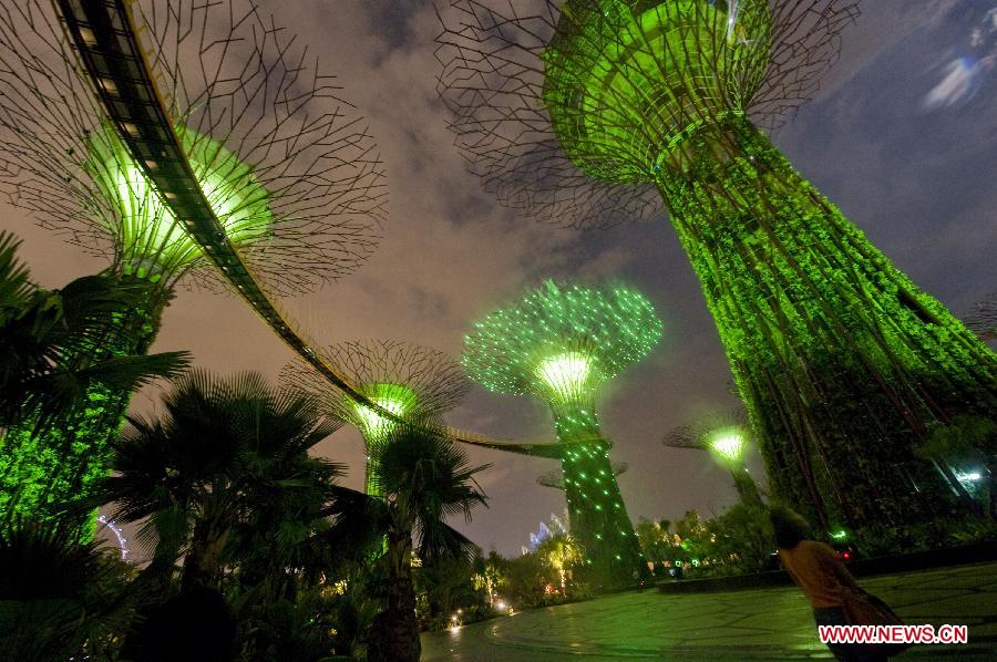 Singapore's Gardens by the Bay South for the first time presents the light and sound show at its Supertrees Grove in Singapore, on July 2, 2012. (Xinhua/Then Chih Wey) 