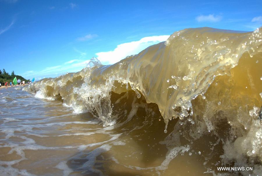 The wave is seen at the beach near Sanniang gulf in Qinzhou, south China's Guangxi Zhuang Autonomous Region, July 3, 2012