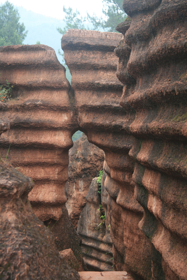 Red Rocks National Geopark is located in Guzhang County of central China's Hunan Province. As China's only red carbonate rock forest, its history could be traced back 450 million years ago. 