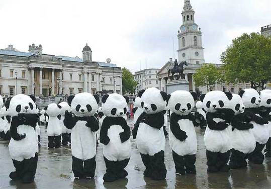Panda Awareness Week was launched in London on Wednesday with 108 'bears' adding to the British capital's attractions with a dance routine in Trafalgar Square. [Agencies] 