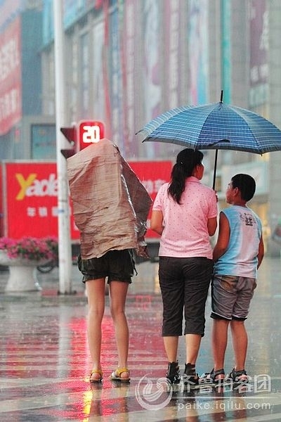 Rain alleviates drought in Shandong