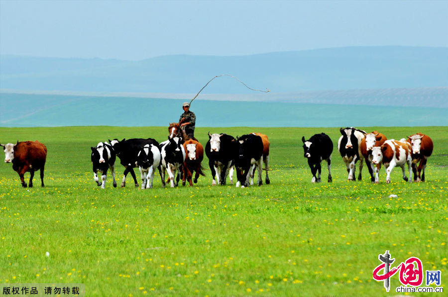 Located in northeastern Inner Mongolia, the Hulunbuir Grasslands are considered the 'most unsullied grasslands' in China. Named after the Hulun and Buir lakes, the grasslands feature forests, rivers and lakes.