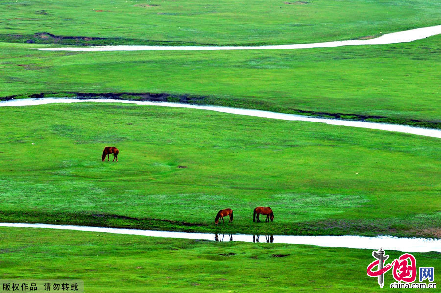 Located in northeastern Inner Mongolia, the Hulunbuir Grasslands are considered the 'most unsullied grasslands' in China. Named after the Hulun and Buir lakes, the grasslands feature forests, rivers and lakes.