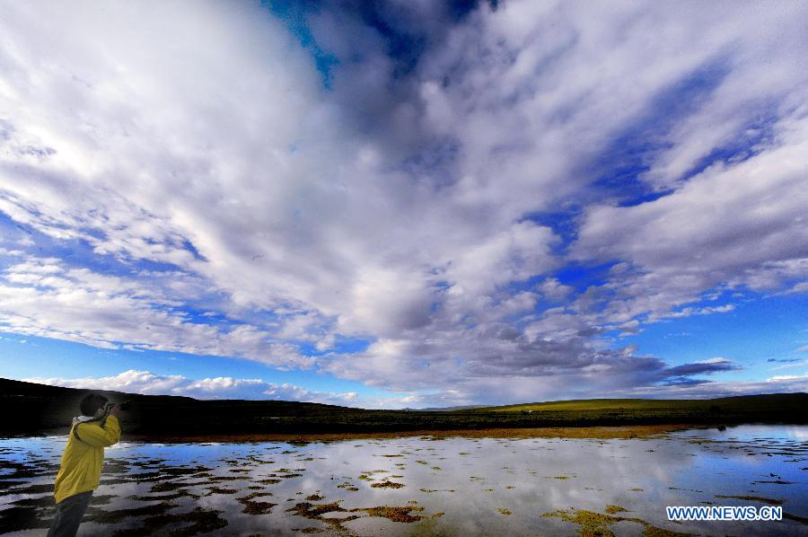 A visitor shoots photos of Qiangtang Grassland in Nagqu, southwest China's Tibet Autonomous Region, July 4, 2012. The magnificent scenery of Nagqu area in July attracts quite a lot of tourists.