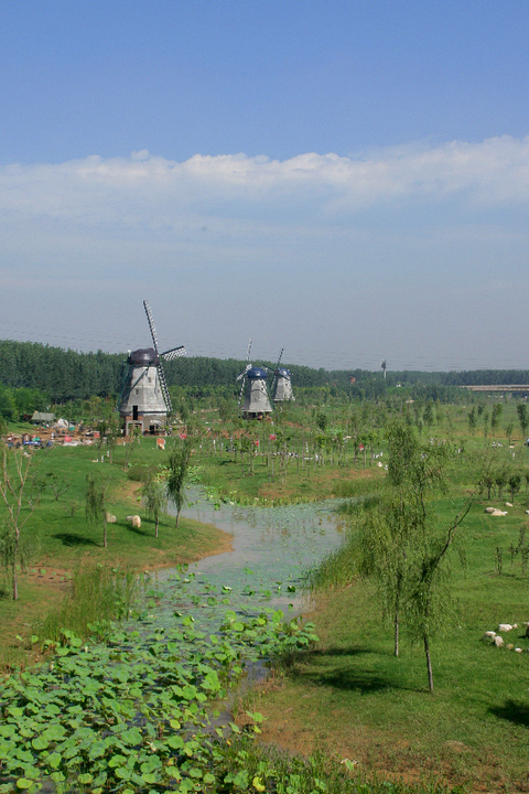 Jianhe Wetland Park in Dezhou