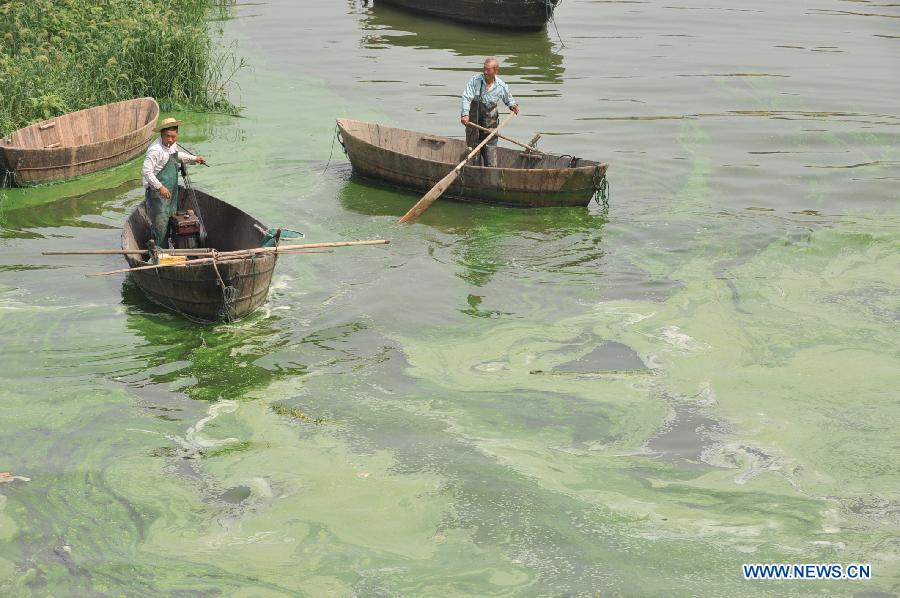 #CHINA-ANHUI-CHAOHU LAKE-BLUE-GREEN ALGAE (CN) 