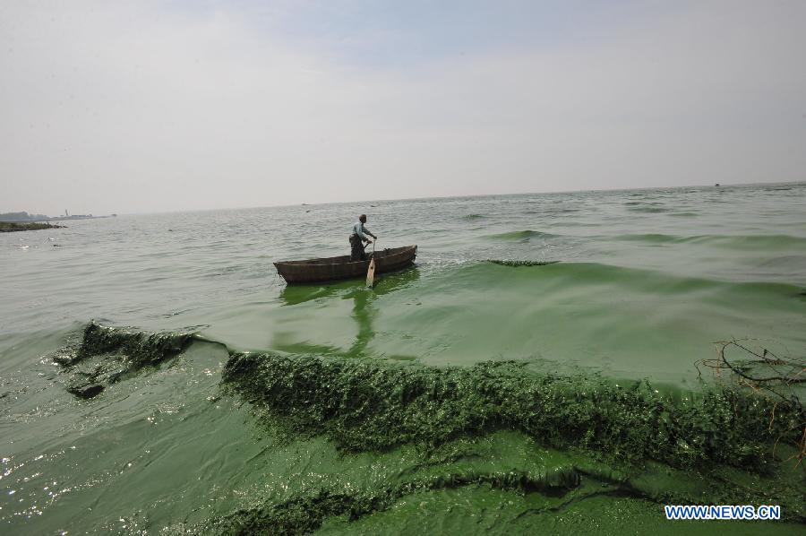 #CHINA-ANHUI-CHAOHU LAKE-BLUE-GREEN ALGAE (CN) 