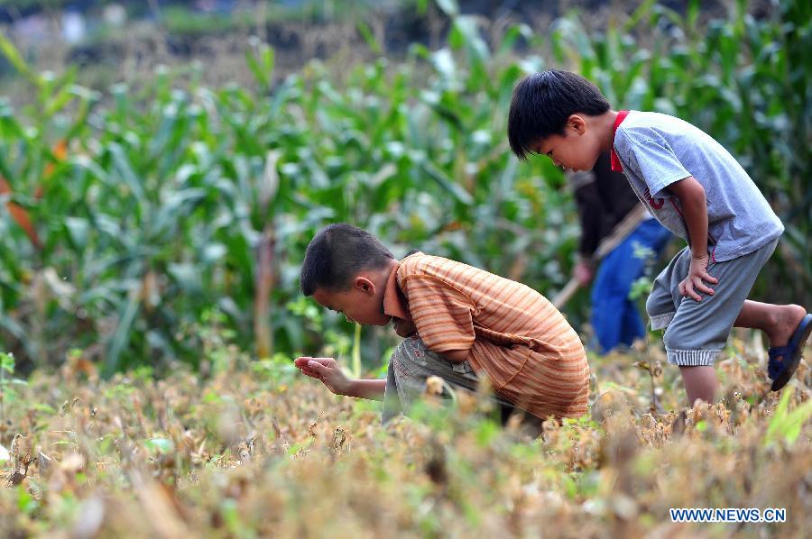 Children enjoy their summer vacation in China's Guangxi