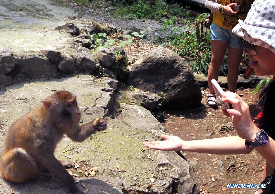 A tourist takes photos of a monkey at a sight-seeing resort in the Xiling Gorge, the easternmost of the Three Gorges along the Yangtze River, in Yichang, central China's Hubei Province, July 8, 2012. Tourism revenue has soared in recent years as the resort incorporated both natural scenery and local ethnic culture in its operation. (Xinhua/Chen Haining) 