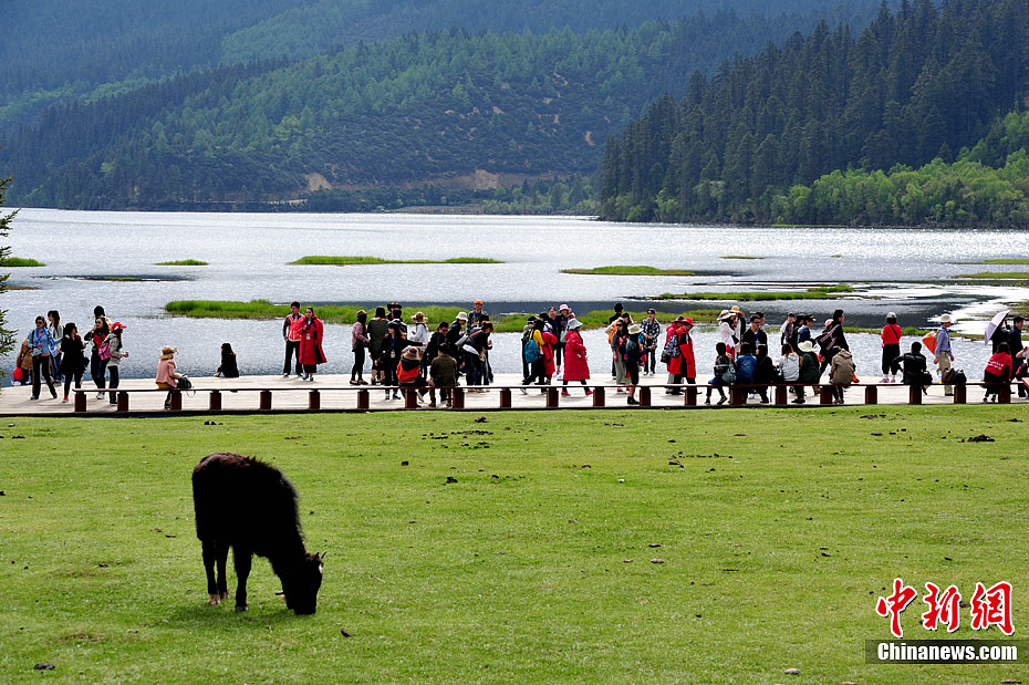 Yunnan province, one of the most popular choices for tourists travelling in China, especially in the summer, is a friendly province offering unparalleled diversity of cultures and landscapes. 