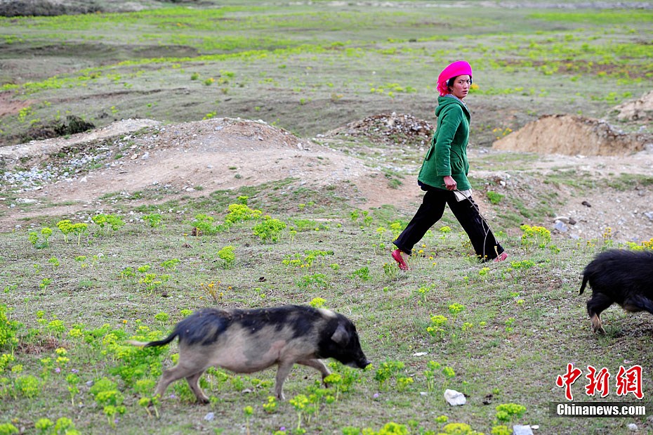 Yunnan province, one of the most popular choices for tourists travelling in China, especially in the summer, is a friendly province offering unparalleled diversity of cultures and landscapes. 