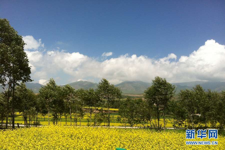 Photo shows the amazing view in Gangcha County of Qinghai Province, July 12, 2012. Summer is the best season to see Qinghai, and tourism is picking up in the province. [Xinhua]