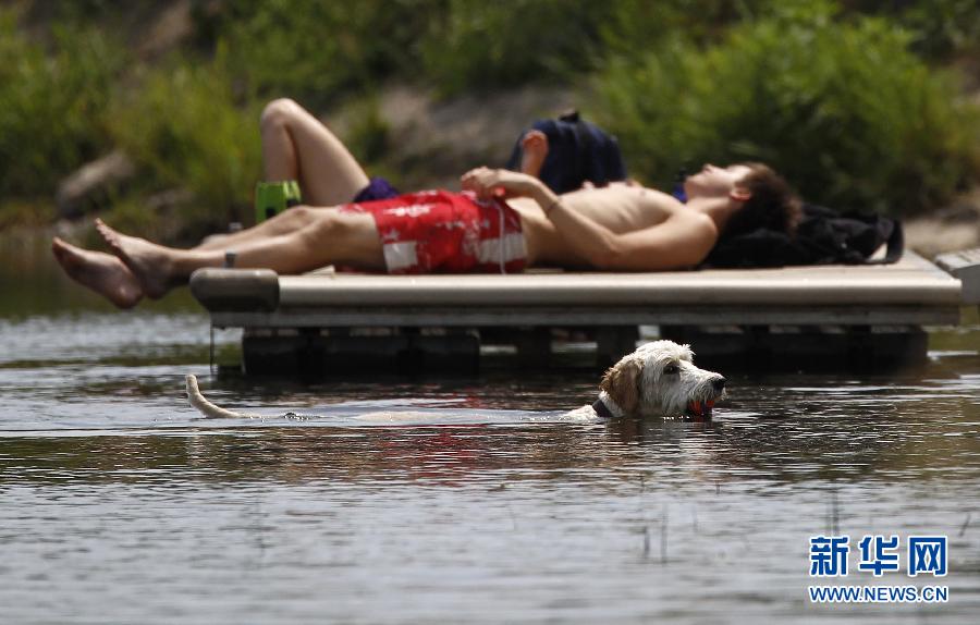 Animals find ways to cool themselves during hot summer. 