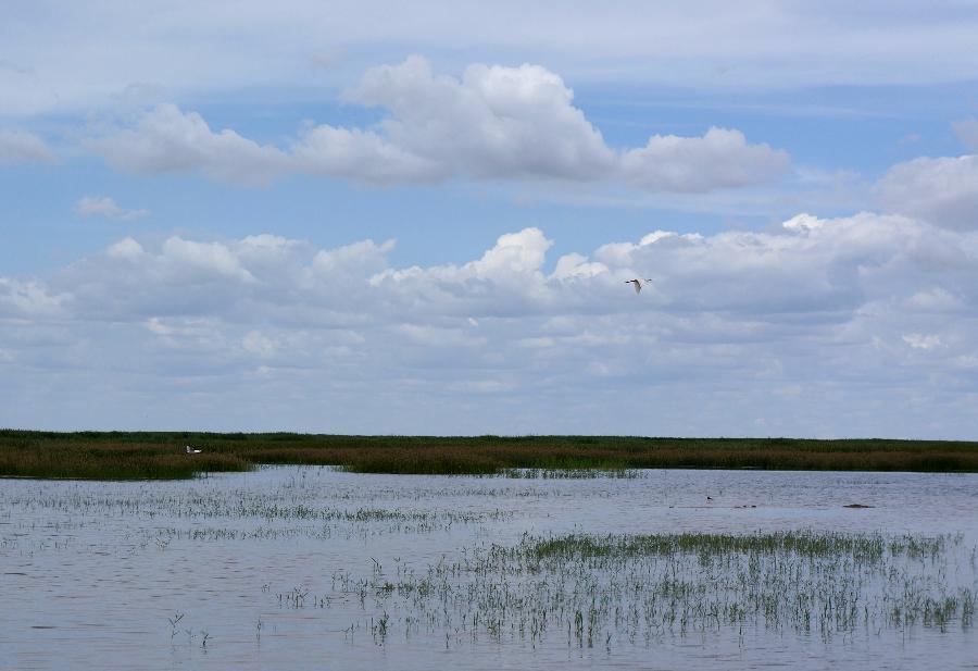 CHINA-INNER MONGOLIA-BAYANNUR-LAKE-ENVIRONMENT (CN)