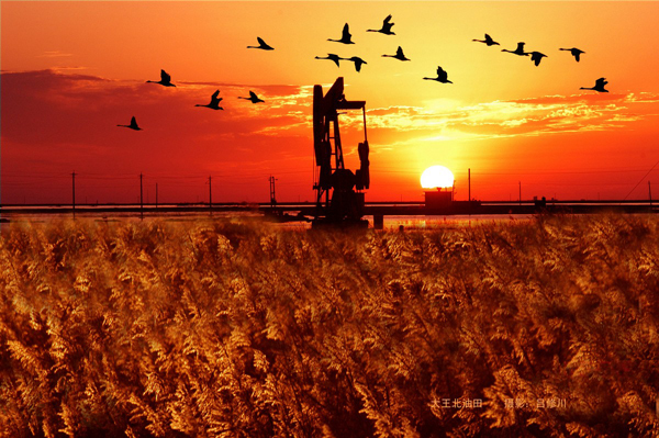 Shengli Oilfield in Dongying