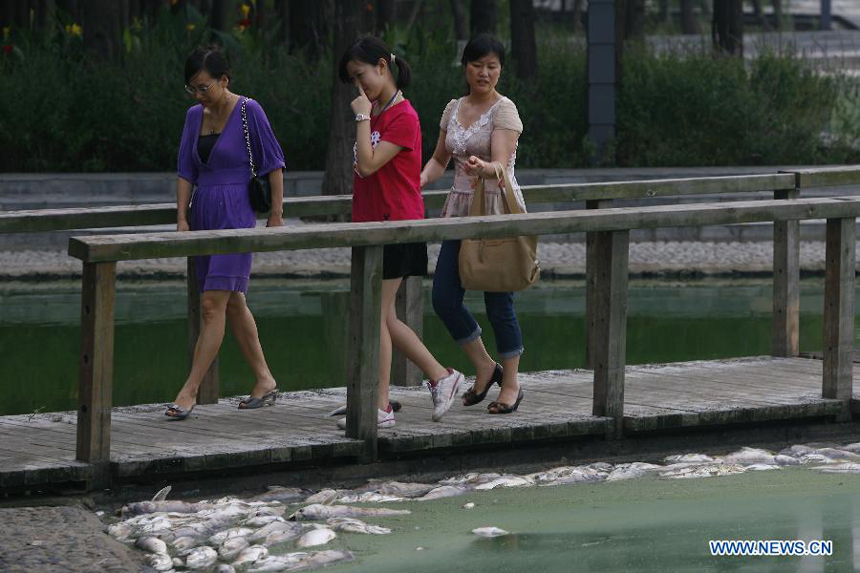Citizens walk on a bridge as dead fish float at the south lake in Wuhan, capital of central China's Hubei Province, July 15, 2012. Large amout of dead fish showed up at the south lake of Wuhan recently. For several years, the dumping of sewage water and gabage made the environment of the lake worse and worse.