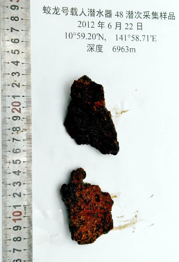 CHINA-SHANDONG-QINGDAO-JIAOLONG-FINDINGS