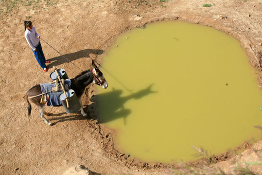 A villager waters a donkey in Haiyuan county, Northwest China's Ningxia Hui autonomous region. The region is finding ways to more efficiently use its sparse water supply. [Xinhua] 