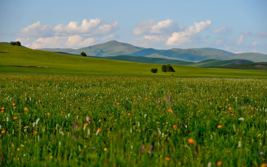 CHINA-INNER MONGOLIA-XILINGOL STEPPE-LANDSCAPE (CN) 